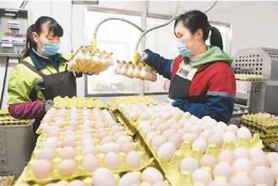 多部门联手保供稳价 水果市场迎来“平价时代”