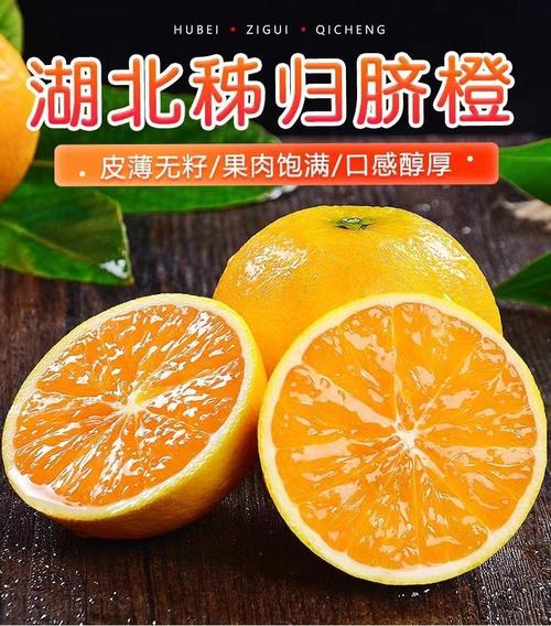 秭归高山夏橙脐橙新鲜橙酸甜橙手剥橙水果产地直发应季橙子批发
